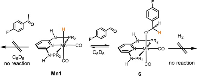 Scheme 5