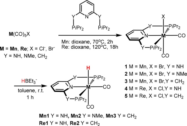 Scheme 4