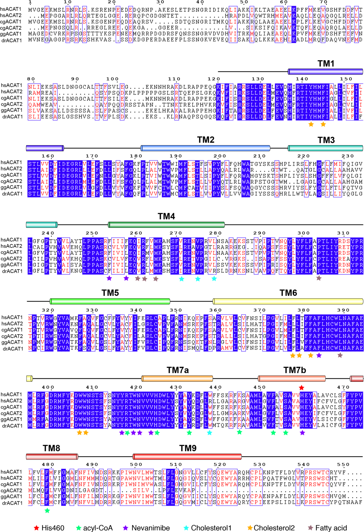 Extended Data Fig. 1