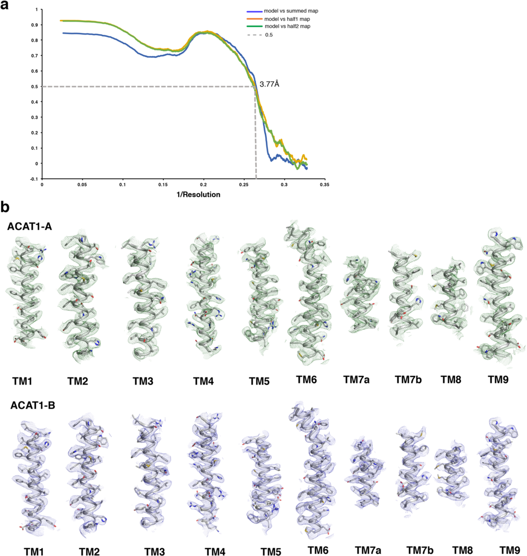 Extended Data Fig. 6