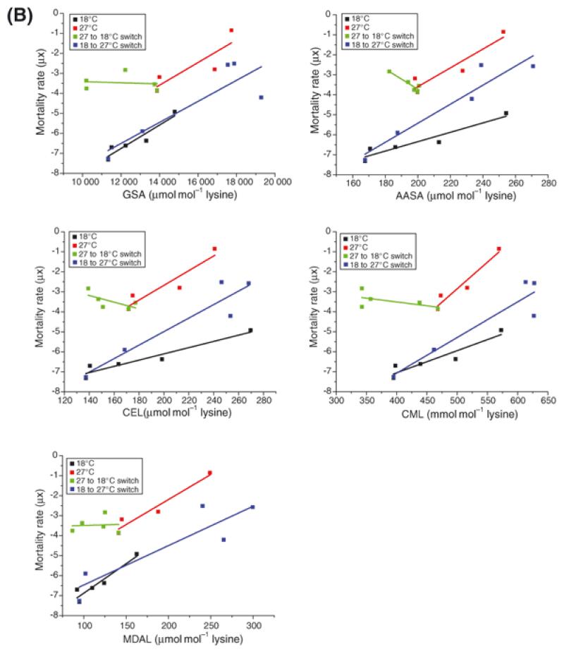 Figure 3B