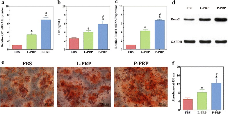 Fig. 6