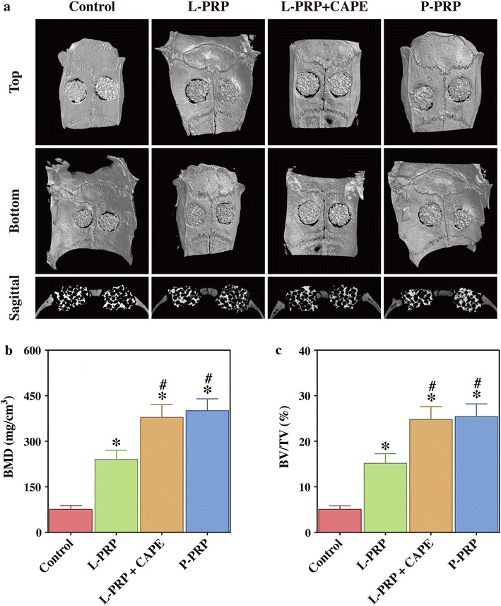 Fig. 8