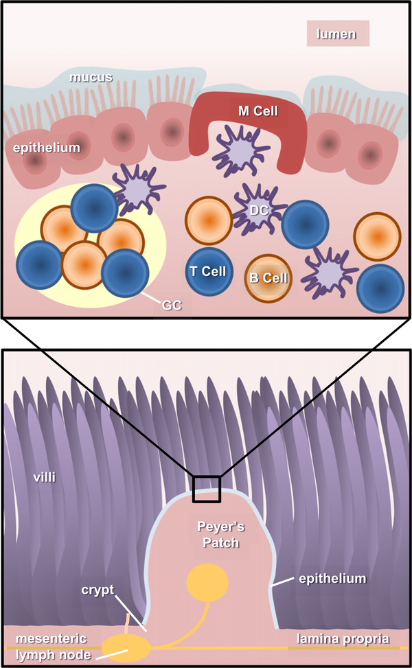 Fig. 2.