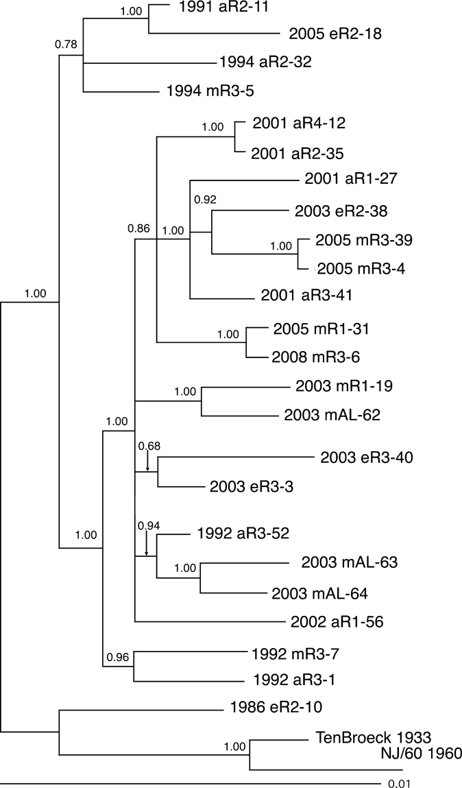 Figure 5.