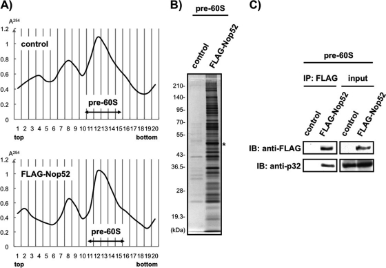 Fig. 8.