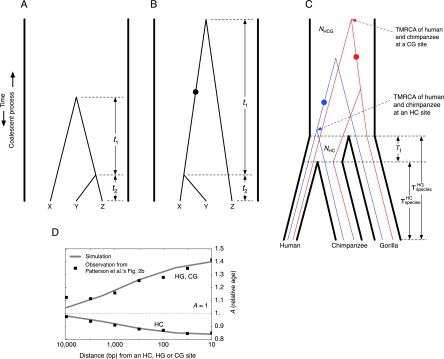 Fig 1.