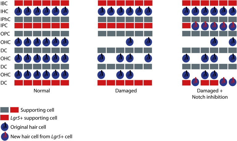 Figure 7