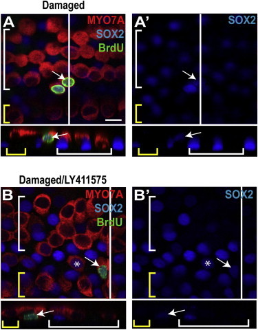 Figure 6