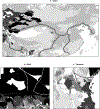 Figure 1 –