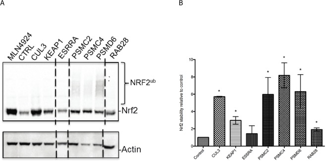 Fig 6