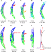 Fig. 1