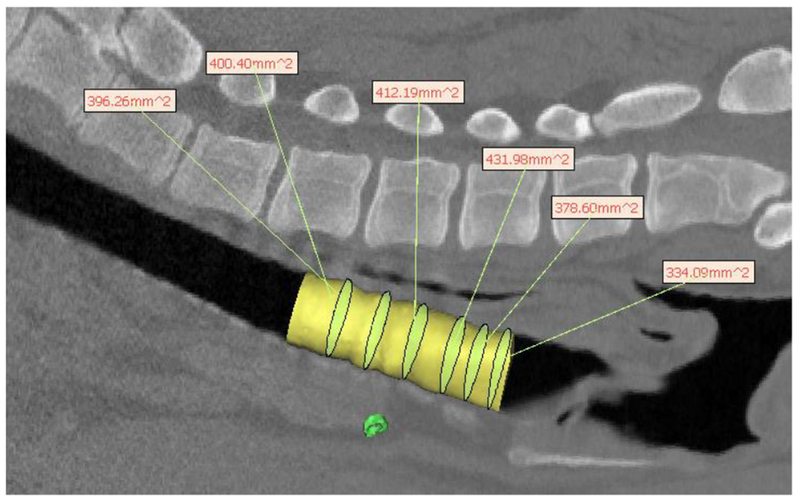 Figure 5.