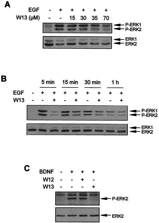 FIG. 10