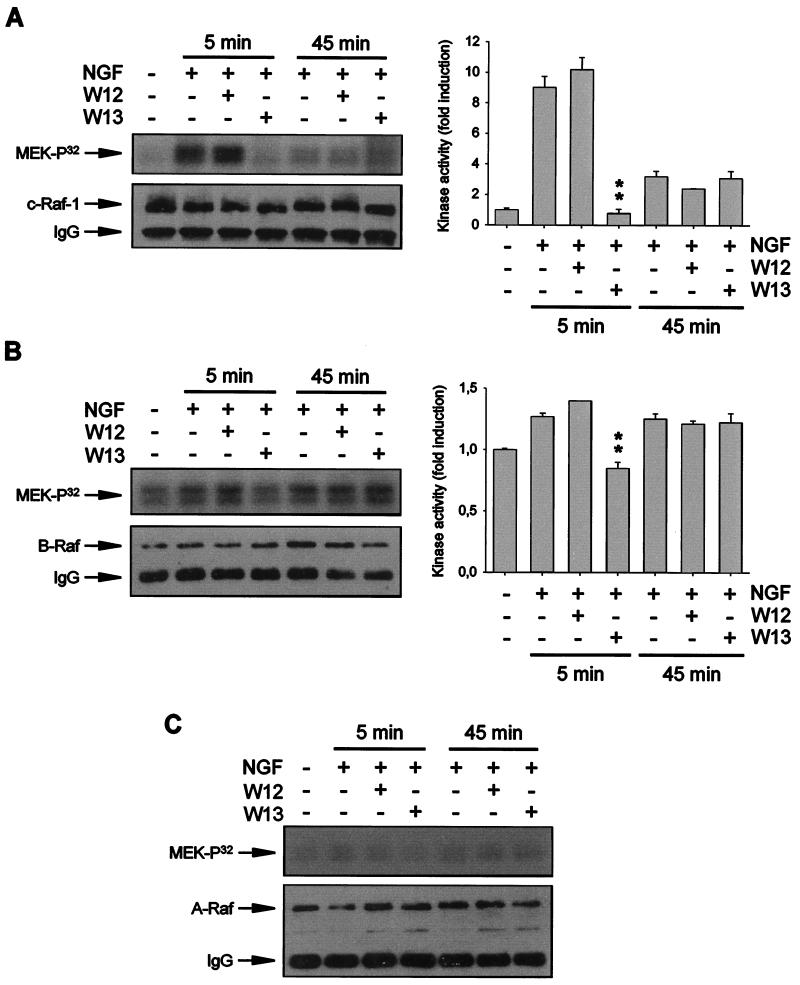 FIG. 8