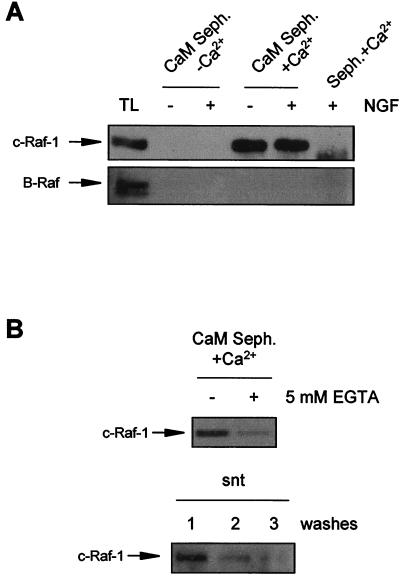 FIG. 9