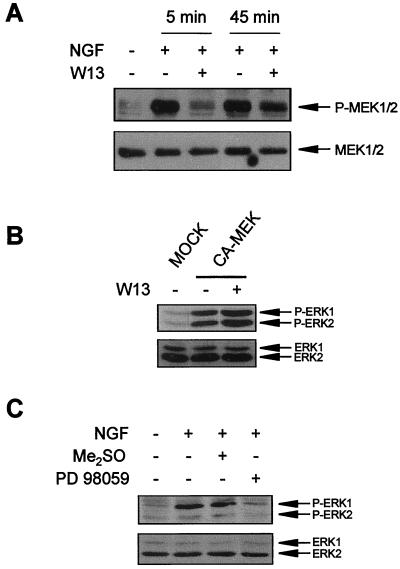 FIG. 7