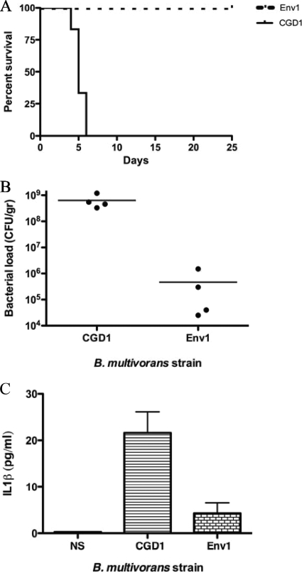 FIG. 6.