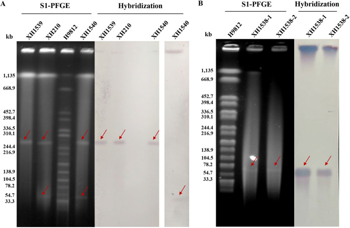 FIG 3