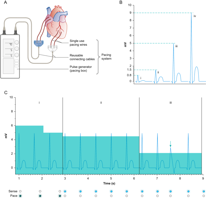 Fig 3