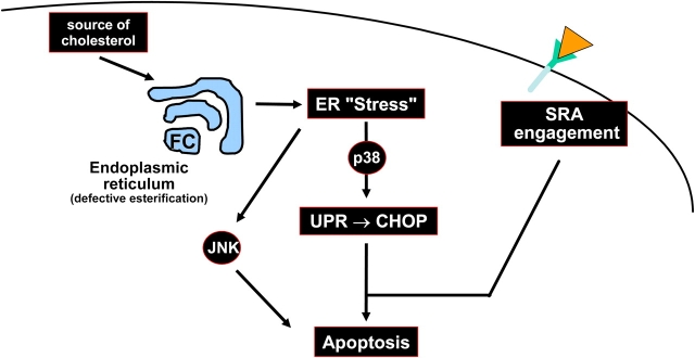 Figure 10.