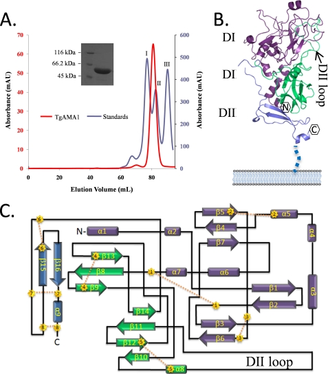 FIGURE 2.