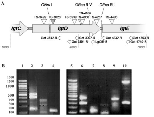 FIG. 5.