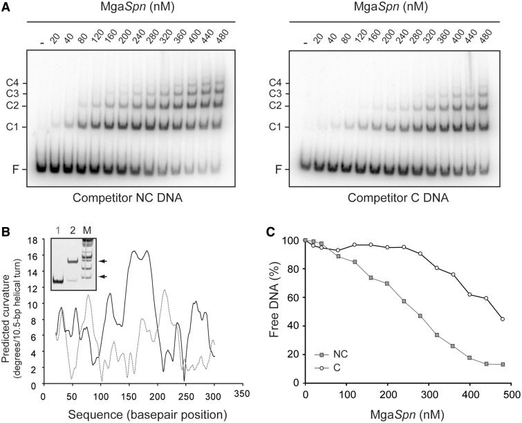 Figure 10.