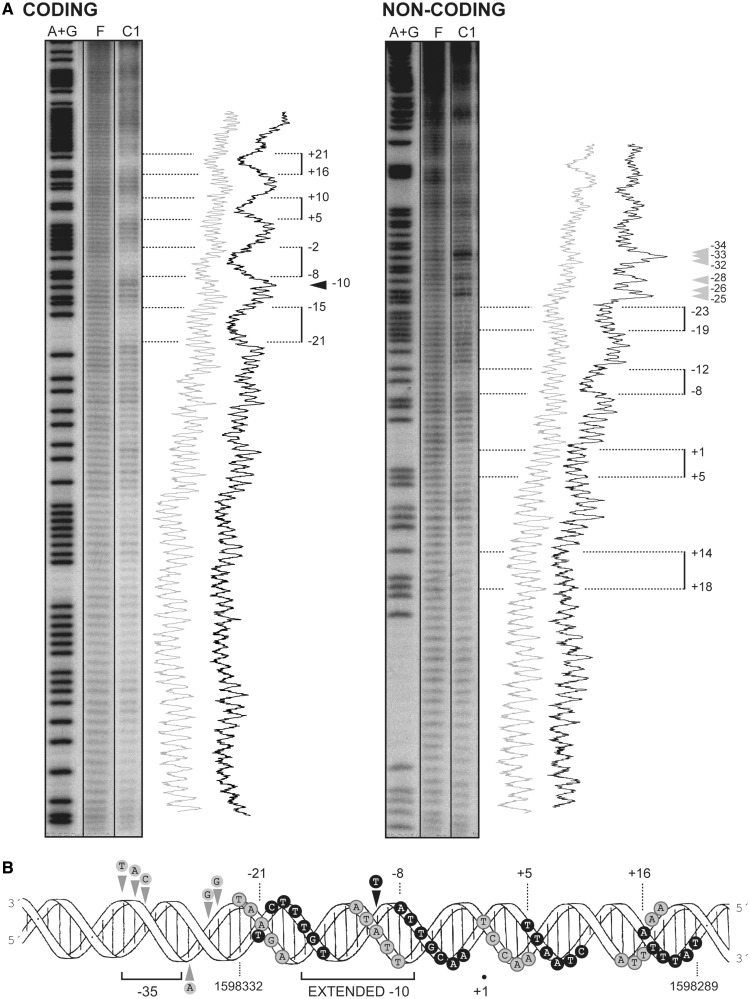 Figure 7.