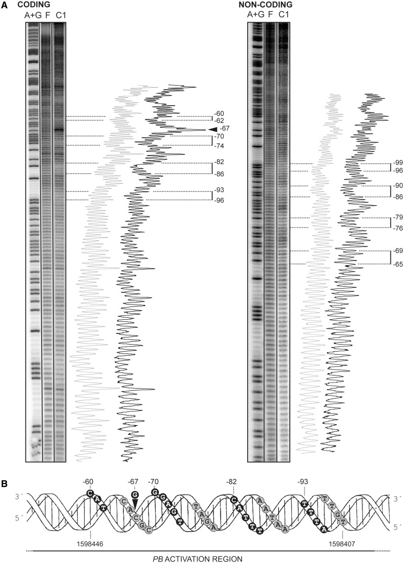 Figure 5.