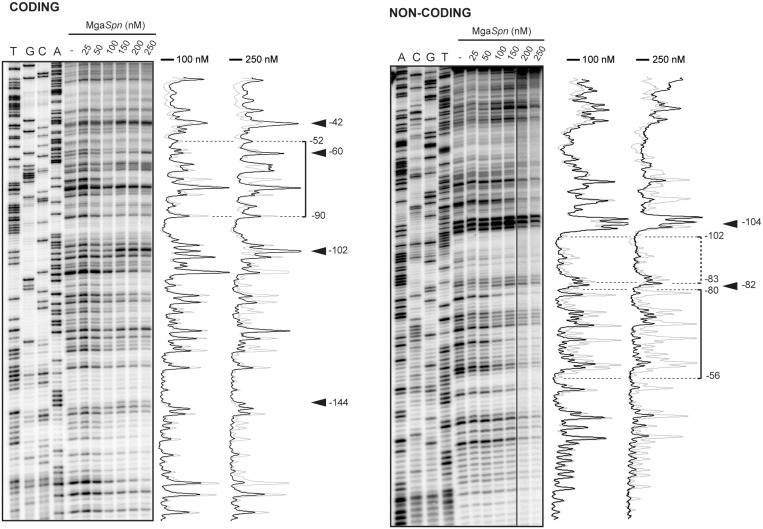 Figure 4.