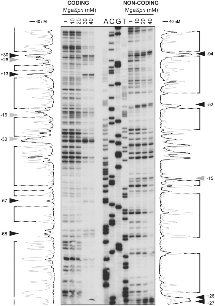 Figure 6.