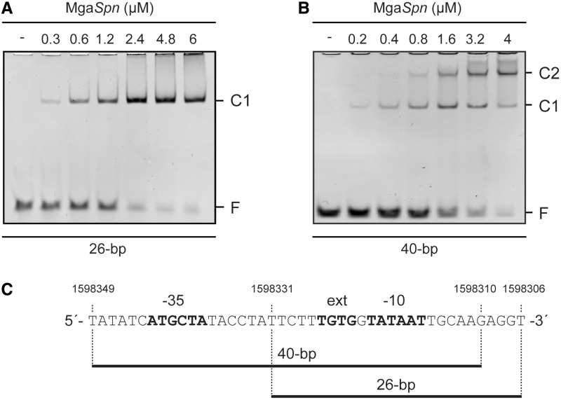 Figure 11.