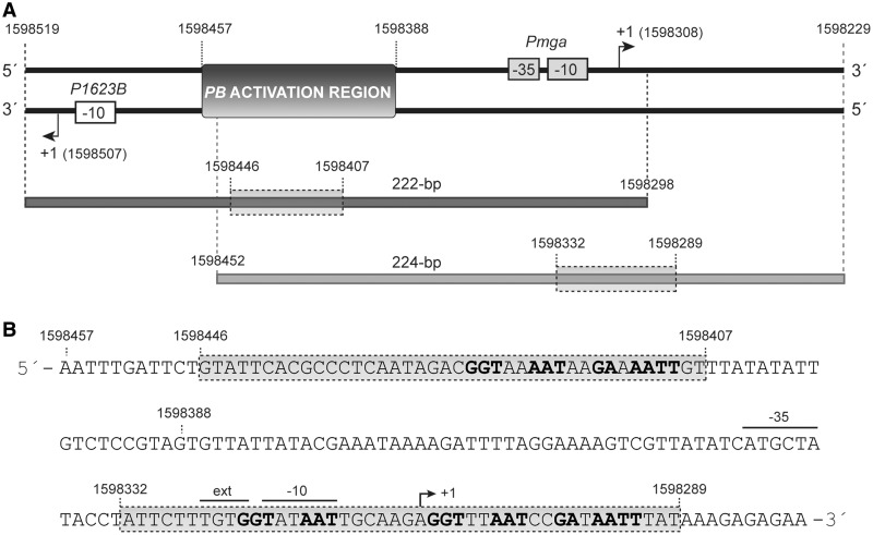 Figure 2.