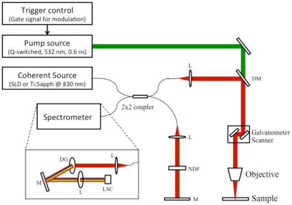 Figure 12