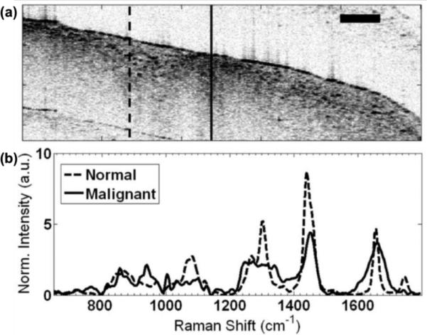 Figure 20