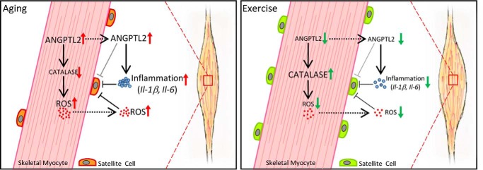 Figure 7.