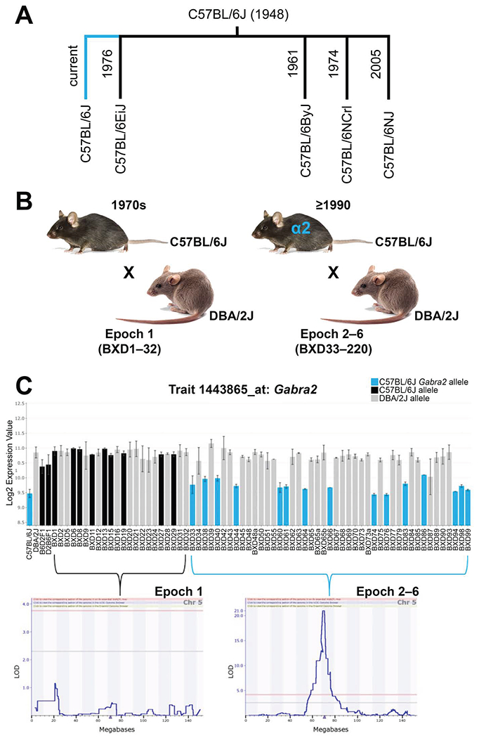 Figure 6: