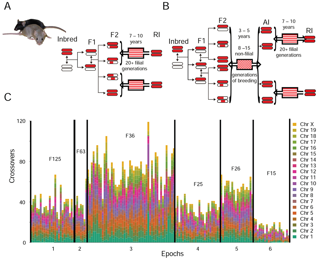 Figure 1: