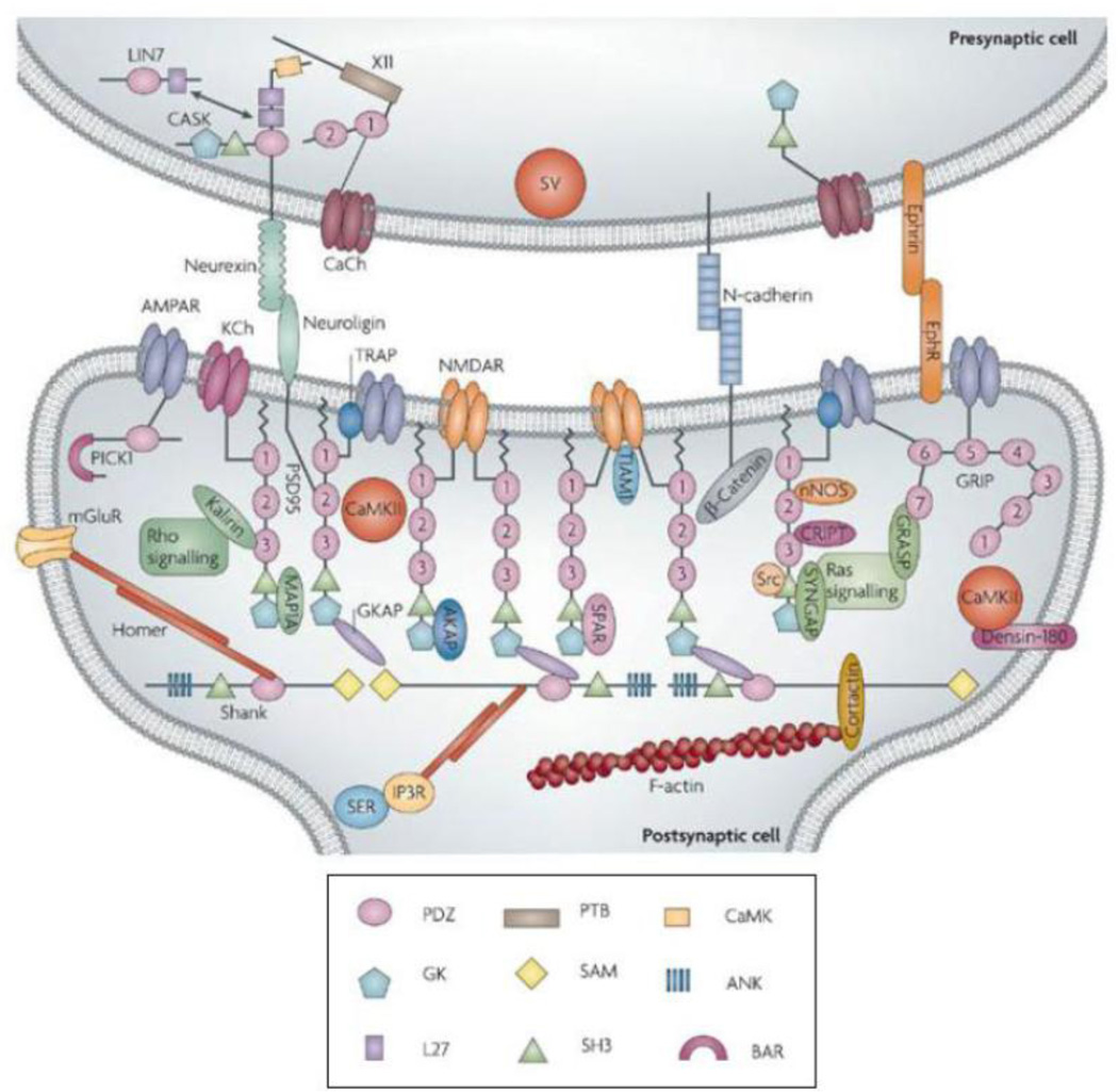 Figure 11