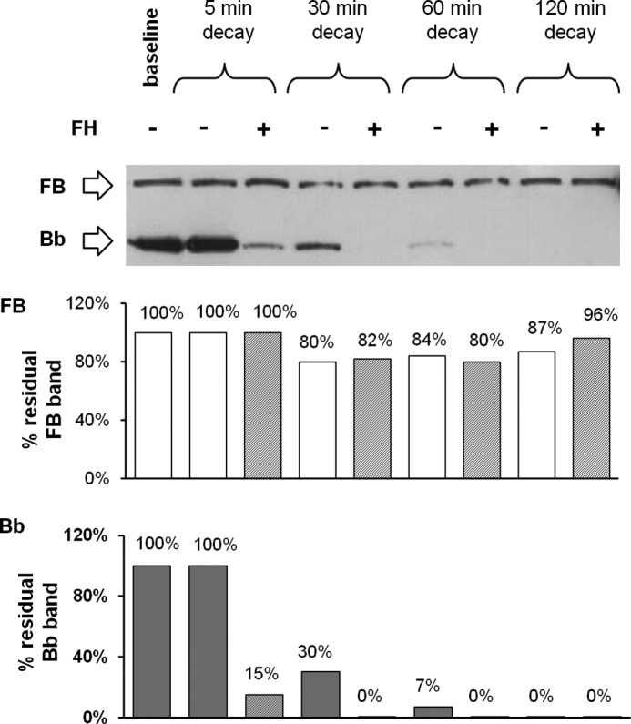 FIGURE 13.