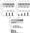 FIGURE 12.