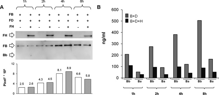 FIGURE 11.