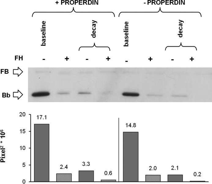 FIGURE 7.