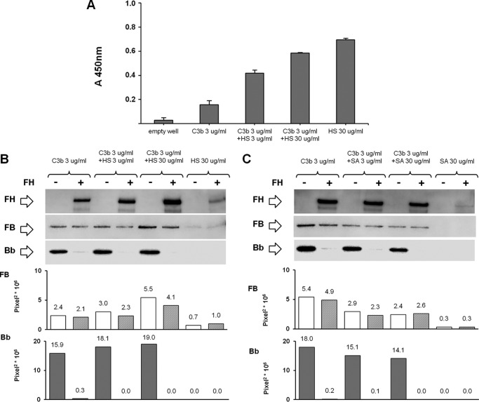 FIGURE 14.