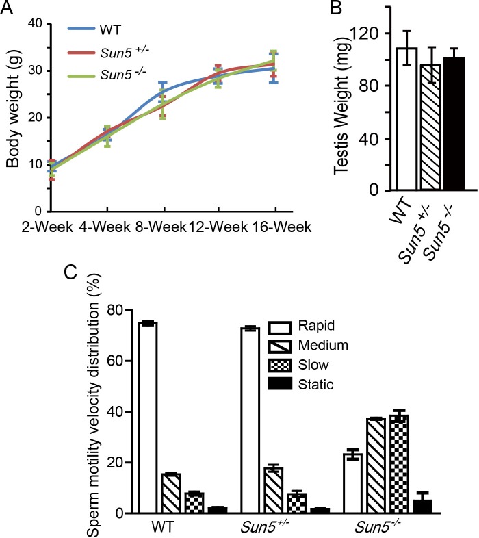 Figure 1—figure supplement 2.