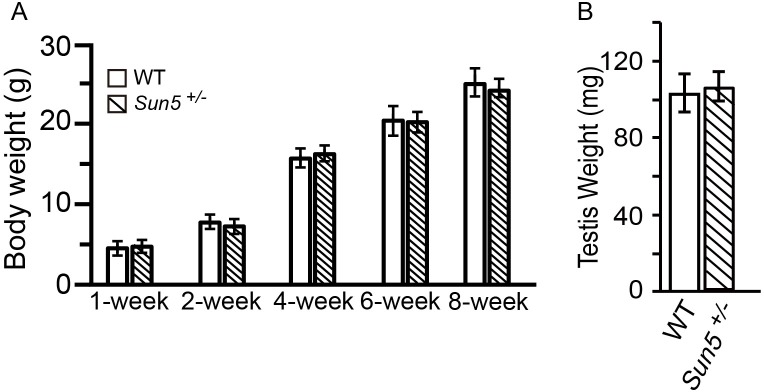 Figure 4—figure supplement 1.