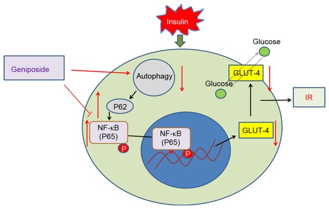 Figure 5.