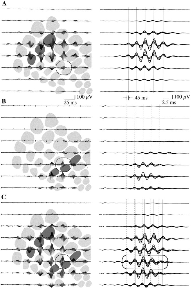 Fig. 3.