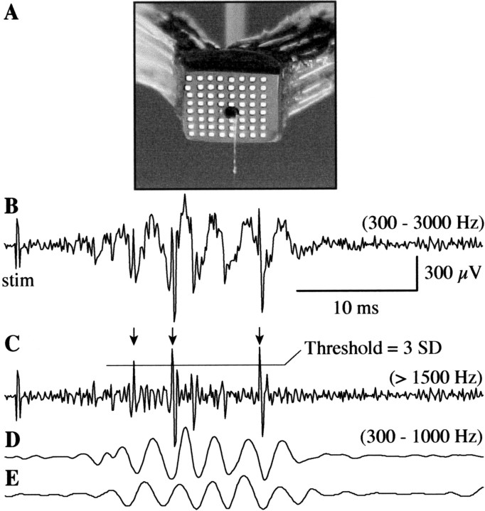 Fig. 6.